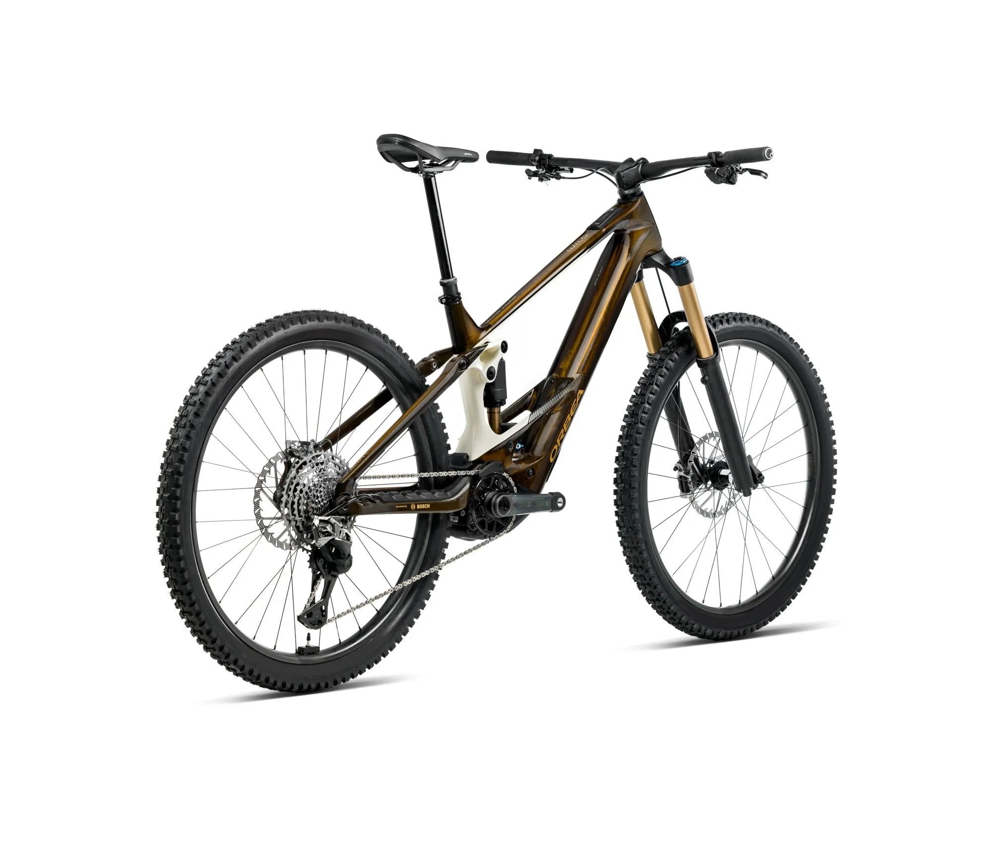 T348TTCC-X2-BACK-WILD_MLTD