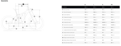 Amflow PR Carbon EU 800Wh Battery Mullet Verde Musgo #9